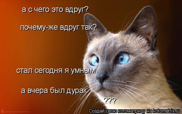 а с чего это вдруг? почему-же вдруг так? стал сегодня я умным а вчера был дурак ???... Котоматрица: а с чего это вдруг? почему-же вдруг так? стал сегодня я умным а вчера был дурак ???
