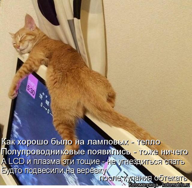 :      -    -    LCD     -      
