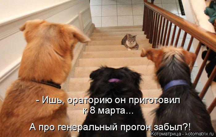 Котоматрица: к 8 марта... - Ишь, ораторию он приготовил А про генеральный прогон забыл?!