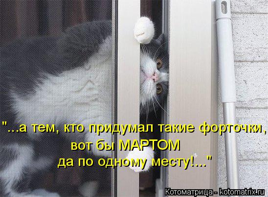 : "... ,    ,       !..."