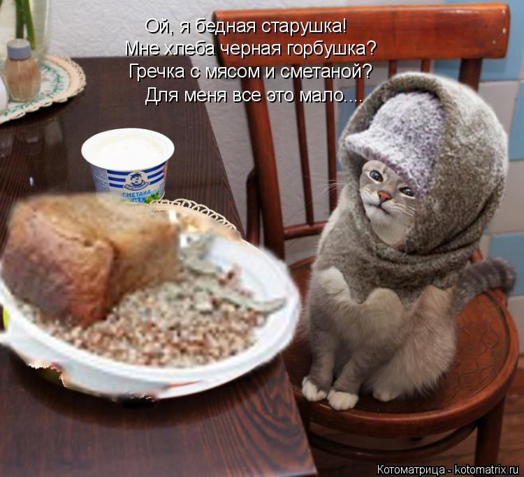 Котоматрица: Мне хлеба черная горбушка? Гречка с мясом и сметаной? Ой, я бедная старушка! Для меня все это мало....