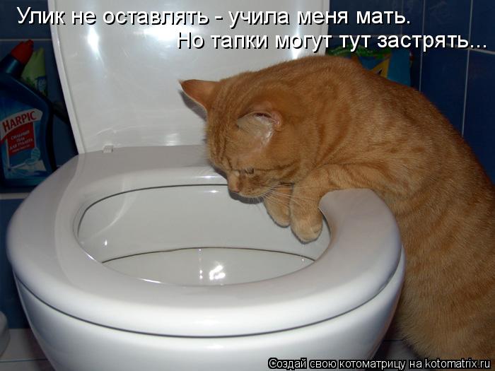 Котоматрица: Улик не оставлять - учила меня мать. Но тапки могут тут застрять...