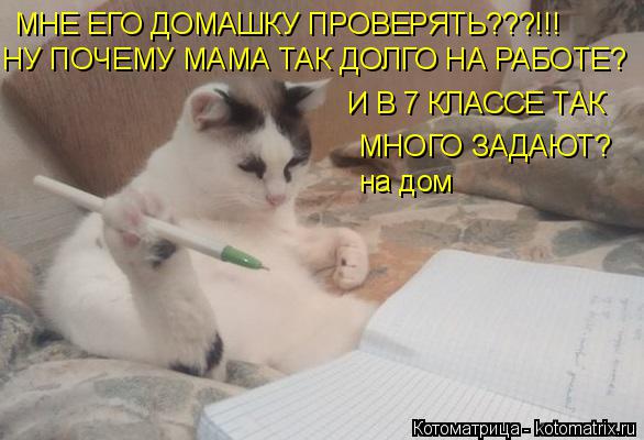 Котоматрица: МНЕ ЕГО ДОМАШКУ ПРОВЕРЯТЬ???!!! НУ ПОЧЕМУ МАМА ТАК ДОЛГО НА РАБОТЕ? И В 7 КЛАССЕ ТАК   МНОГО ЗАДАЮТ?  на дом