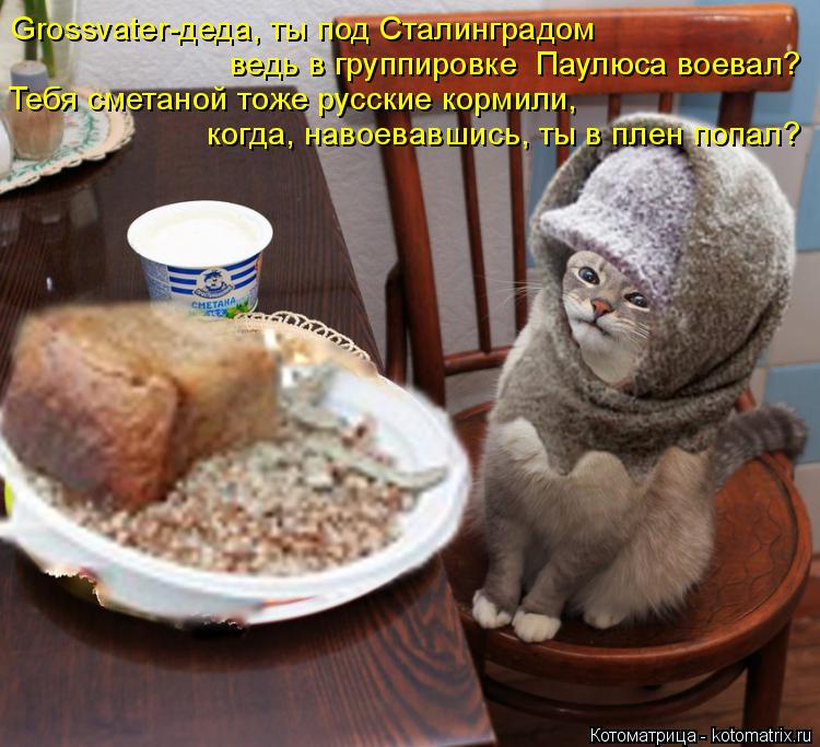 Котоматрица: Grossvater-деда, ты под Сталинградом ведь в группировке  Паулюса воевал? Тебя сметаной тоже русские кормили, когда, навоевавшись, ты в плен попал?