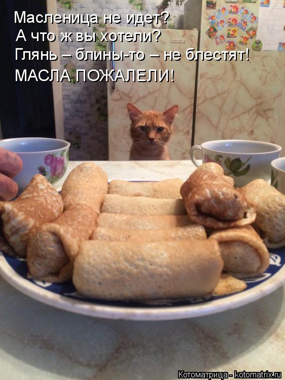 Котоматрица: Масленица не идет? А что ж вы хотели? Глянь – блины-то – не блестят! МАСЛА ПОЖАЛЕЛИ!