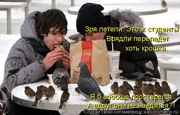 Котоматрица: Я б вообще поостерегся... А вдруг они не наедятся?! Зря летели. Это ж студенты! Врядли перепадет  хоть крошка.