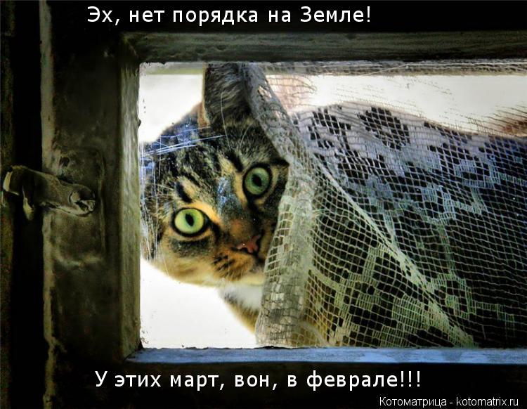 Котоматрица: Эх, нет порядка на Земле! У этих март, вон, в феврале!!!