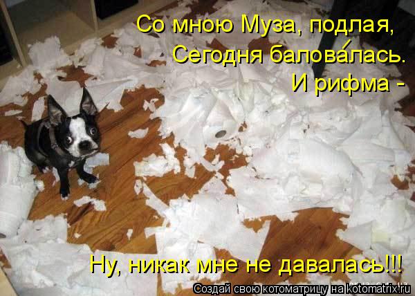 Котоматрица: Со мною Муза, подлая, Сегодня баловалась. И рифма -  Ну, никак мне не давалась!!! _