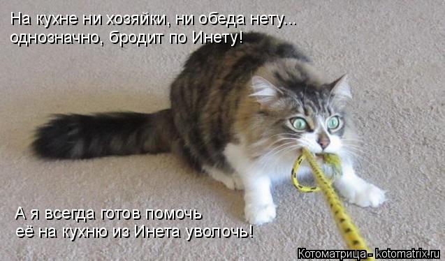 Котоматрица: На кухне ни хозяйки, ни обеда нету... однозначно, бродит по Инету! А я всегда готов помочь её на кухню из Инета уволочь!
