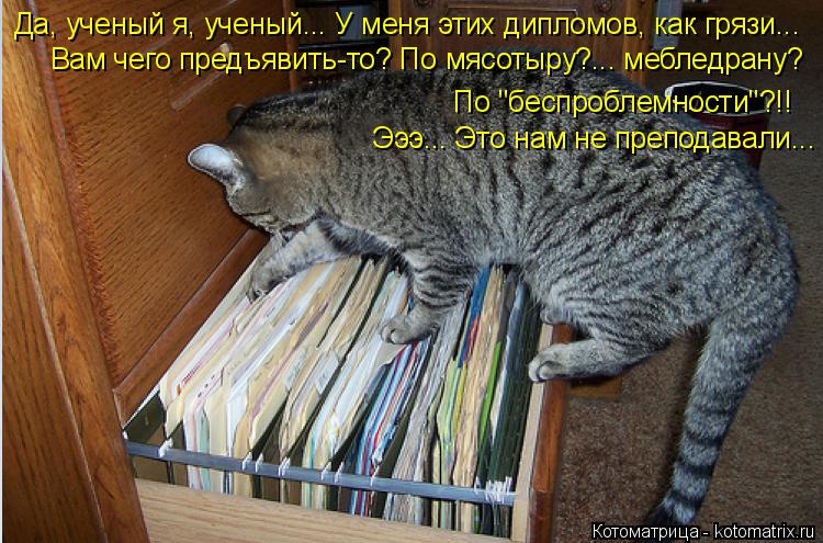 Котоматрица: Да, ученый я, ученый... У меня этих дипломов, как грязи... Вам чего предъявить-то? По мясотыру?... мебледрану? По "беспроблемности"?!!  Эээ... Это нам