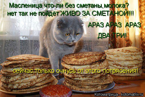 Котоматрица: Масленица что-ли без сметаны,молока? нет так не пойдёт ЖИВО ЗА СМЕТАНОЙ!!! АРАЗ АРАЗ  АРАЗ  ДВА ТРИ!   сейчас,только очнусь от этого потрясения!