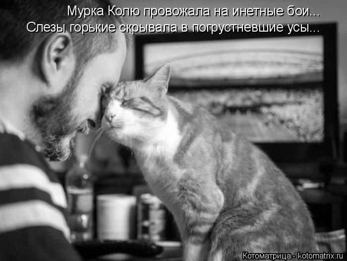 Котоматрица: Мурка Колю провожала на инетные бои... Слезы горькие скрывала в погрустневшие усы...