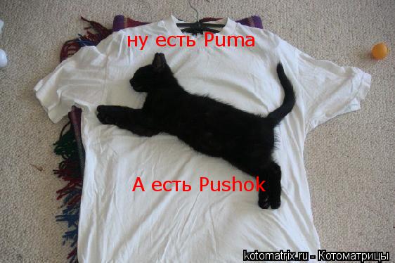 Котоматрица: ну есть Puma А есть Pushok