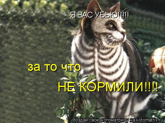 Котоматрица: Я ВАС УБЬЮ!!!!! за то что НЕ КОРМИЛИ!!!!