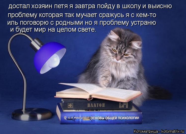 Котоматрица: достал хозяин петя я завтра пойду в школу и выисню  проблему которая так мучает сражусь я с кем-то иль поговорю с родными но я проблему устра