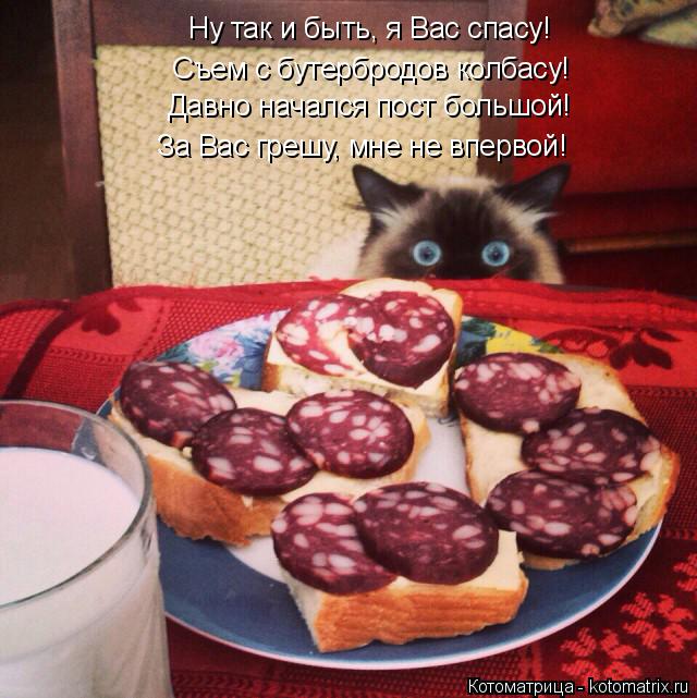 Котоматрица: Ну так и быть, я Вас спасу!  Съем с бутербродов колбасу! Давно начался пост большой! За Вас грешу, мне не впервой!