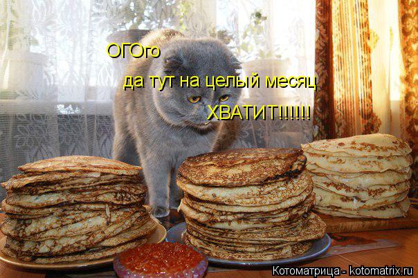 Котоматрица: ОГОго  да тут на целый месяц ХВАТИТ!!!!!!