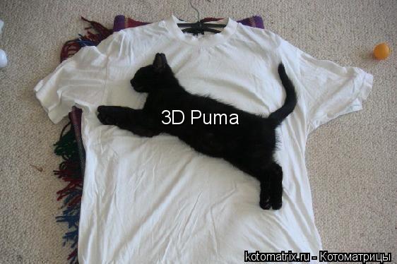 Котоматрица: 3D Puma