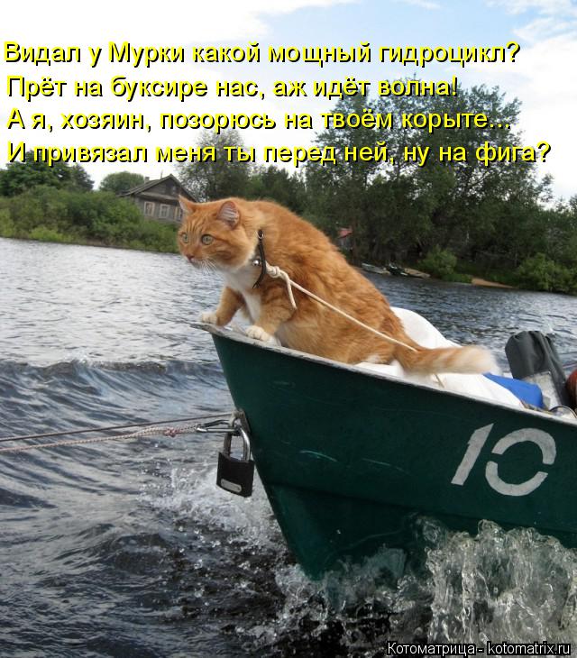 Котоматрица: Видал у Мурки какой мощный гидроцикл? Прёт на буксире нас, аж идёт волна! А я, хозяин, позорюсь на твоём корыте... И привязал меня ты перед ней, 