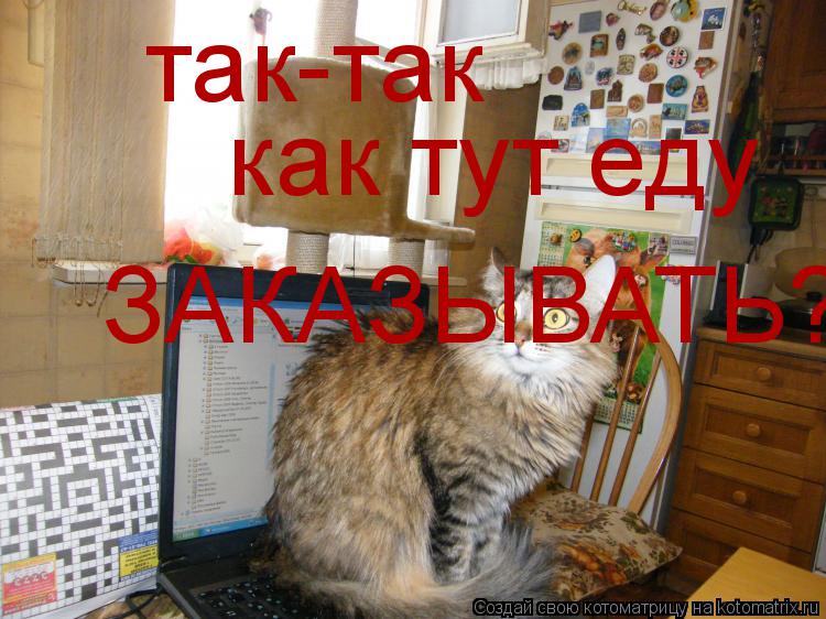 Котоматрица: так-так как тут еду ЗАКАЗЫВАТЬ?!!