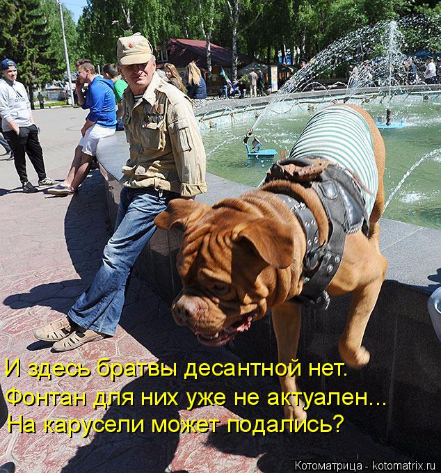 Котоматрица: И здесь братвы десантной нет. Фонтан для них уже не актуален... На карусели может подались?