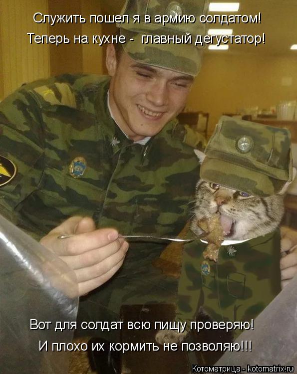 Котоматрица: Служить пошел я в армию солдатом! И плохо их кормить не позволяю!!! Теперь на кухне -  главный дегустатор! Вот для солдат всю пищу проверяю!