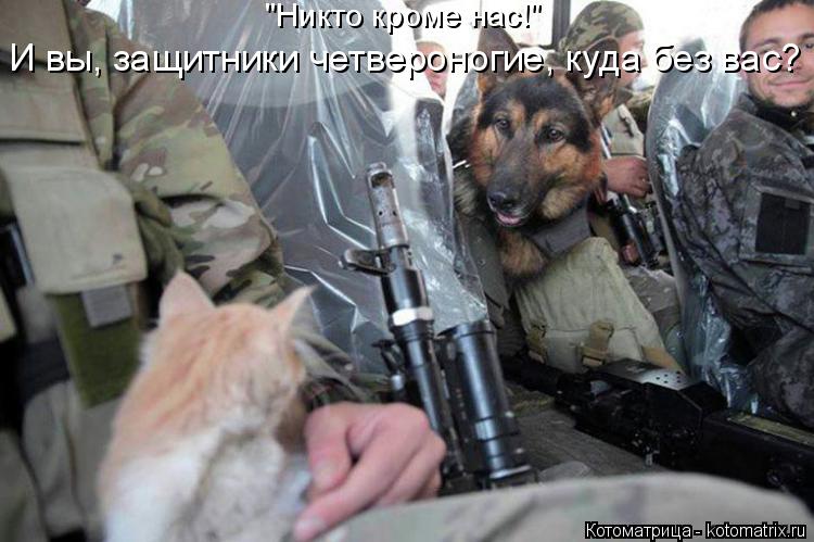 Котоматрица: "Никто кроме нас!" И вы, защитники четвероногие, куда без вас?