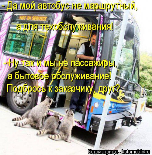 Котоматрица: - Да мой автобус не маршрутный, а для техобслуживания! - Ну так и мы не пассажиры,  а бытовое обслуживание! Подбрось к заказчику, друг?