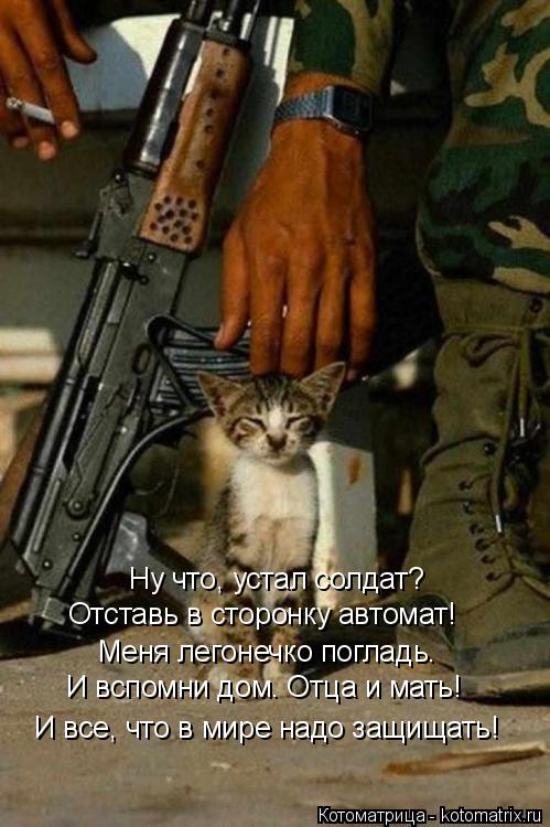 Котоматрица: Ну что, устал солдат?  Отставь в сторонку автомат! Меня легонечко погладь. И вспомни дом. Отца и мать! И все, что в мире надо защищать!