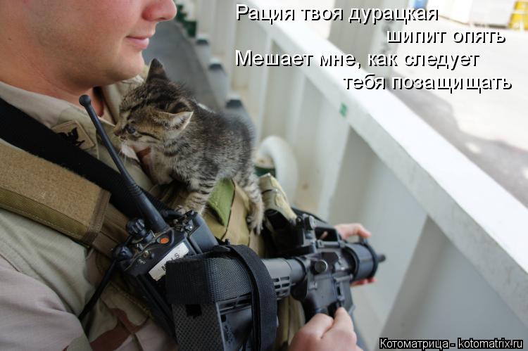 Котоматрица: Рация твоя дурацкая шипит опять Мешает мне, как следует тебя позащищать
