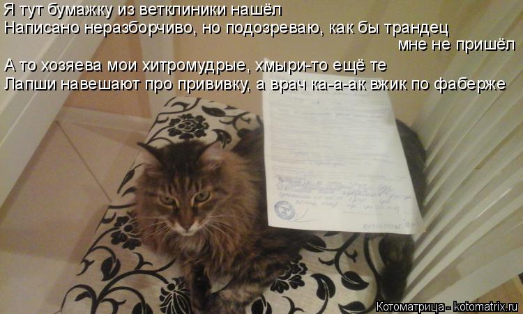 Котоматрица: Я тут бумажку из ветклиники нашёл мне не пришёл Лапши навешают про прививку, а врач ка-а-ак вжик по фаберже Написано неразборчиво, но подозр