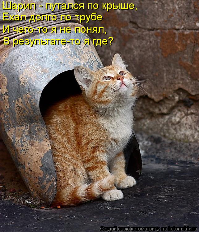 Котоматрица: Шарил - путался по крыше, Ехал долго по трубе И чего-то я не понял, В результате-то я где?