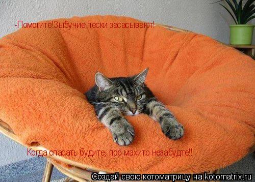 Котоматрица: -Помогите!Зыбучие пески засасывают! Когда спасать будите, про махито незабудте!!