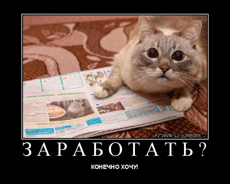 Котоматрица: ЗАРАБОТАТЬ? КОНЕЧНО ХОЧУ!
