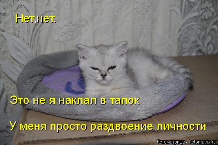 Котоматрица: Это не я наклал в тапок Нет,нет.  У меня просто раздвоение личности
