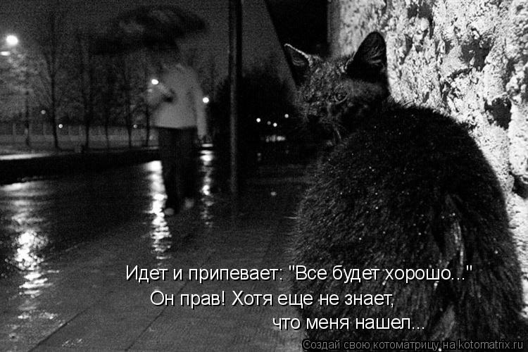 Идет и припевает: "Все будет хорошо..." Он прав! Хотя еще не знает, что меня нашел...... Котоматрица: Идет и припевает: "Все будет хорошо..." Он прав! Хотя еще не знает, что меня нашел...
