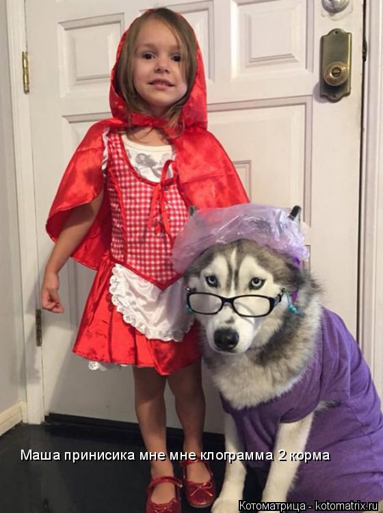 Котоматрица: Маша принисика мне мне клограмма 2 корма