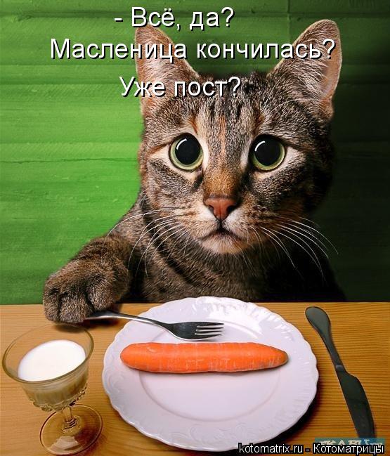 Котоматрица: - Всё, да?  Масленица кончилась?  Уже пост?