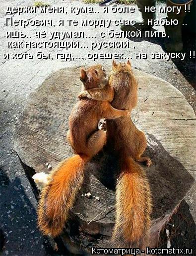 держи меня, кума.. я боле - не могу !! Петрович, я те морду счас .. набью .. ишь.. чё удумал.... с бе... Котоматрица: держи меня, кума.. я боле - не могу !! Петрович, я те морду счас .. набью .. ишь.. чё удумал.... с белкой пить, как настоящий... русский , и хоть бы, гад,.
