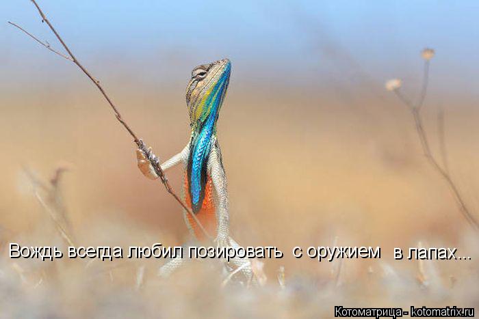 Котоматрица: Вождь всегда любил позировать  с оружием  в лапах...