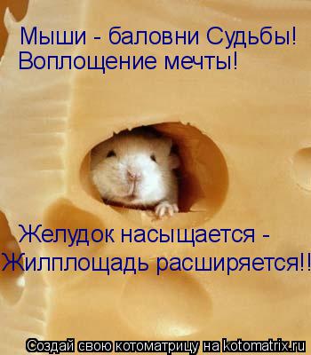Котоматрица: Мыши - баловни Судьбы! Воплощение мечты! Желудок насыщается -  Жилплощадь расширяется!!!