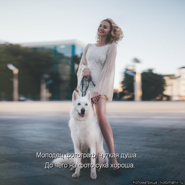 Котоматрица: До чего на фото сука хороша. Молодец фотограф, чуткая душа...