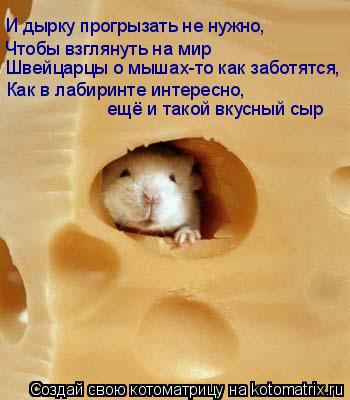 И дырку прогрызать не нужно, Чтобы взглянуть на мир Как в лабиринте интересно, ещё и такой вкусный сы... Котоматрица: И дырку прогрызать не нужно, Чтобы взглянуть на мир Как в лабиринте интересно, ещё и такой вкусный сыр Швейцарцы о мышах-то как заботятся,