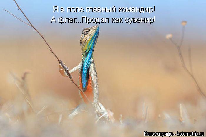 Котоматрица: А флаг...Продал как сувенир! Я в поле главный командир!