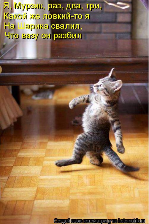 Котоматрица: Я, Мурзик, раз, два, три, Какой же ловкий-то я На Шарика свалил, Что вазу он разбил