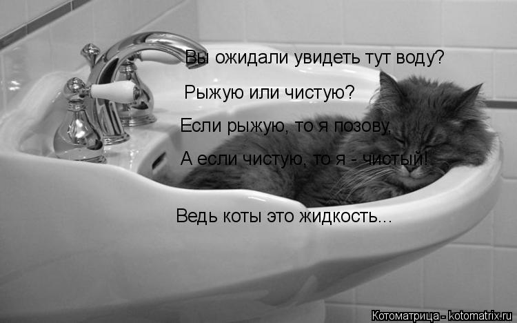 Вы ожидали увидеть тут воду? Рыжую или чистую? Если рыжую, то я позову, А если чистую, то я - чистый!... Котоматрица: Вы ожидали увидеть тут воду? Рыжую или чистую? Если рыжую, то я позову, А если чистую, то я - чистый! Ведь коты это жидкость...