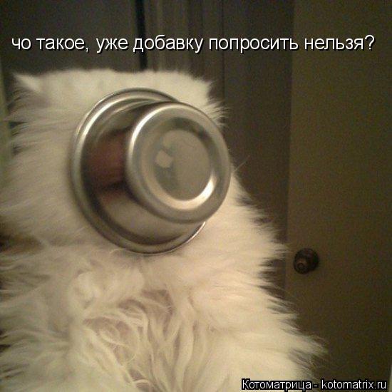 Котоматрица: чо такое, уже добавку попросить нельзя?