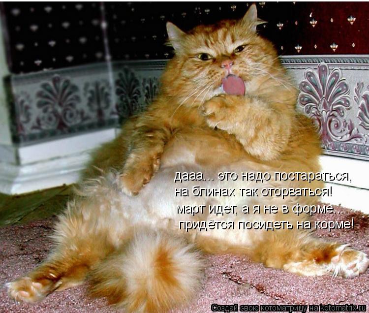 дааа... это надо постараться, на блинах так оторваться! март идет, а я не в форме... придётся посидет... Котоматрица: дааа... это надо постараться, на блинах так оторваться! март идет, а я не в форме... придётся посидеть на корме!