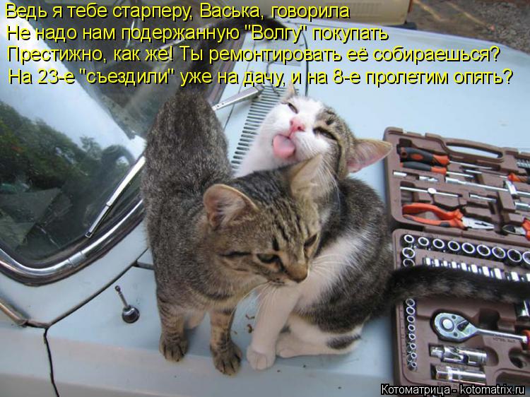 Котоматрица: Ведь я тебе старперу, Васька, говорила Не надо нам подержанную "Волгу" покупать Престижно, как же! Ты ремонтировать её собираешься? На 23-е "съ