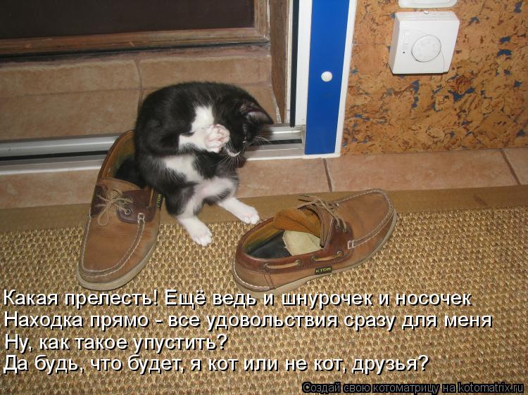Какая прелесть! Ещё ведь и шнурочек и носочек Находка прямо - все удовольствия сразу для меня Ну, как... Котоматрица: Какая прелесть! Ещё ведь и шнурочек и носочек Находка прямо - все удовольствия сразу для меня Ну, как такое упустить? Да будь, что будет, я кот